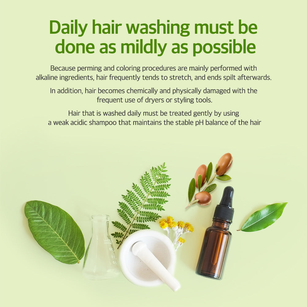 Kerasys Natural Recipe Argan Oil Shampoo for Extremely  Damaged Hair