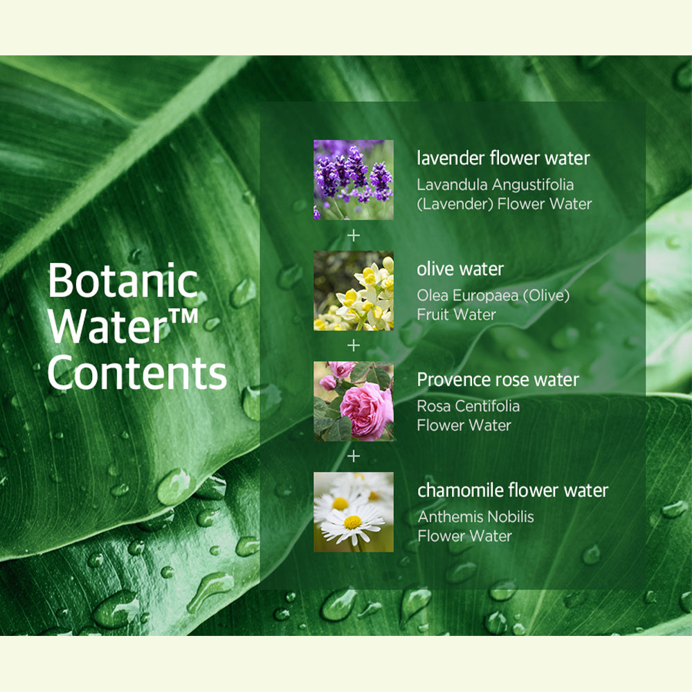 SHOWERMATE Botanic Olive Body Wash