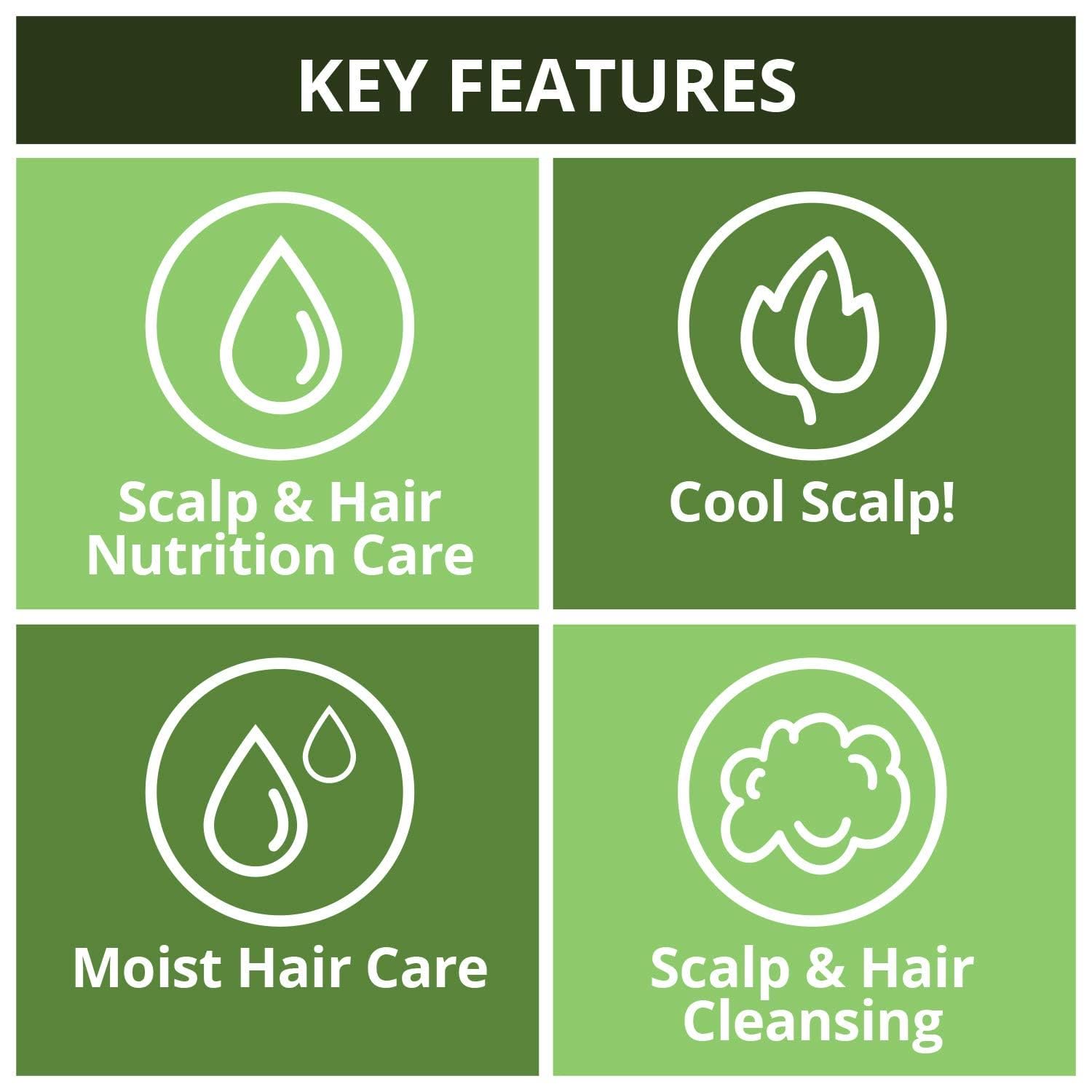 Daeng Gi Meo Ri Natural On Tea Tree Cool Shampoo 33.8 fl. oz (1000ml)