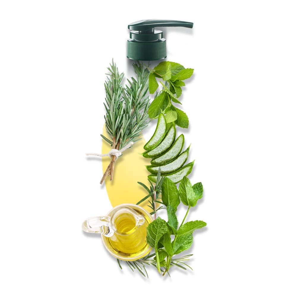 Daeng Gi Meo Ri Natural On Tea Tree Cool Treatment 33.8 fl. oz (1000ml)