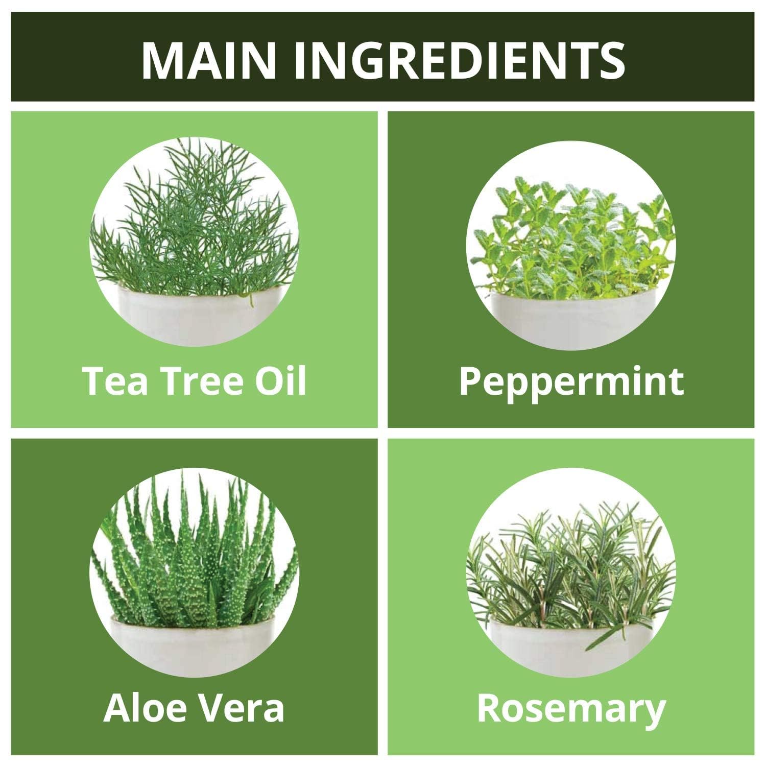 Daeng Gi Meo Ri Natural On Tea Tree Cool Treatment 33.8 fl. oz (1000ml)